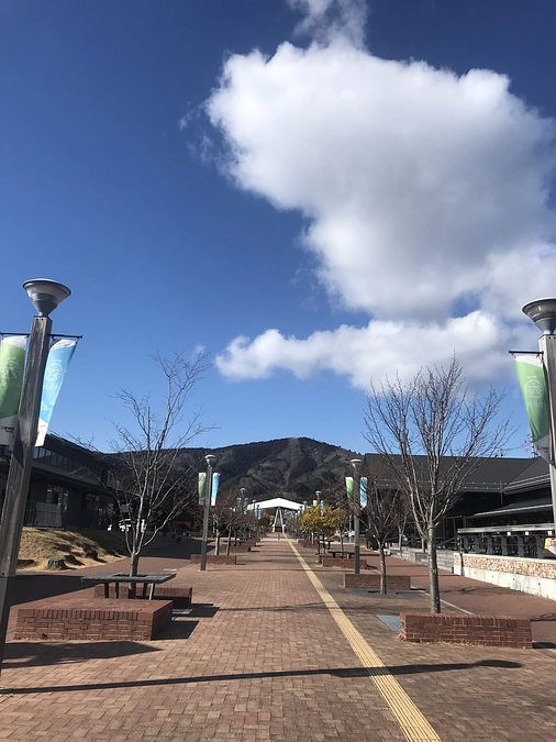 女川本ぶどう園クラウドファンディング初挑戦！