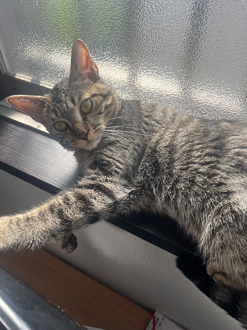 病院へ行ってきました