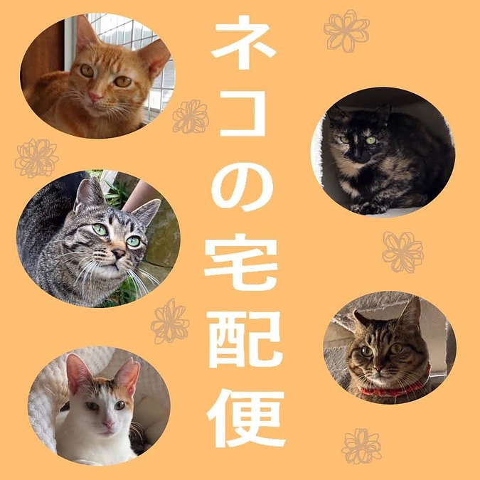 ネコの宅配便 募集中
