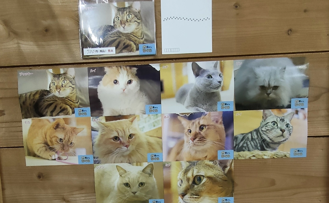 毎月応援 2,000円コース