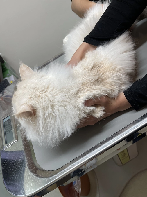 今日は病院へ受診しました。