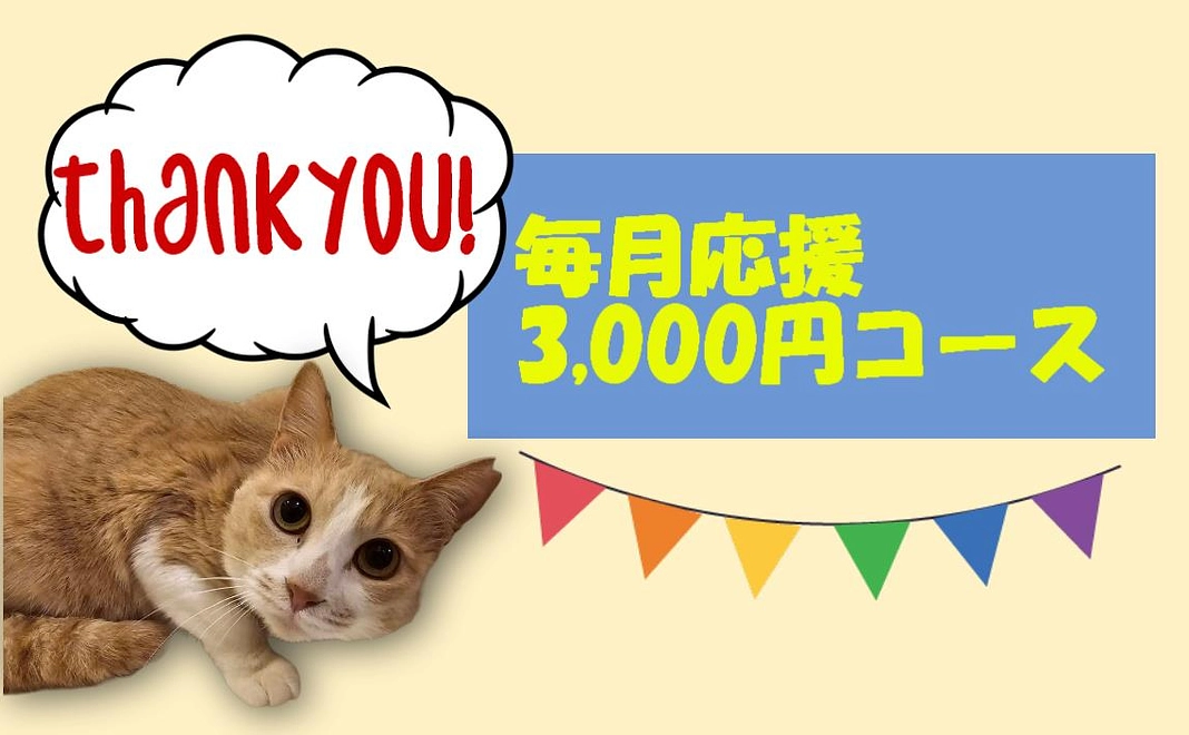 毎月応援　3,000円コース