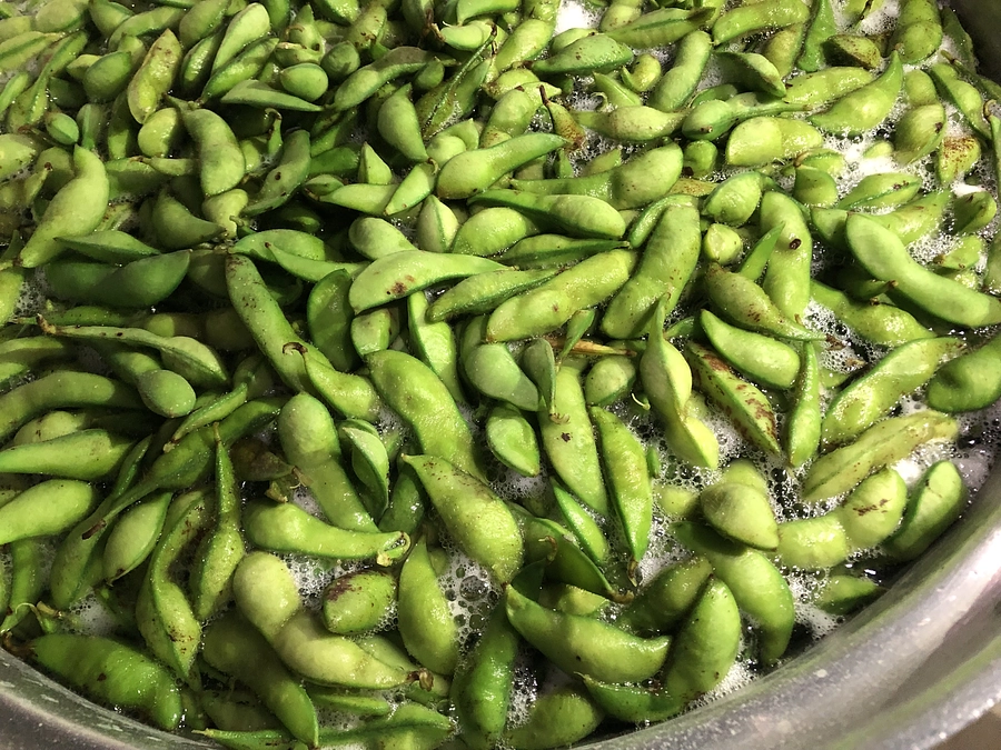 「丹波黒枝豆」入荷しました！