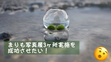 まりも写真展3ヶ所実施を成功させたい！ のトップ画像