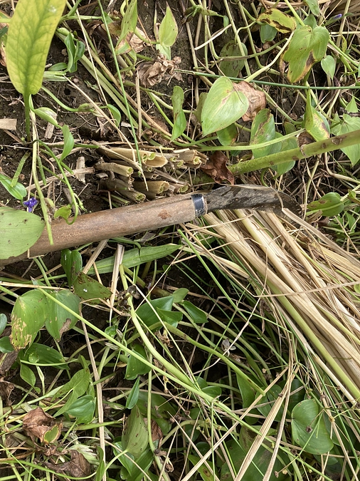 リターンの準備〜その３。稲刈り始まりました！