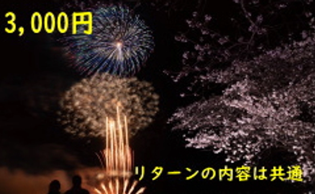 3,000円+システム利用料(220円)