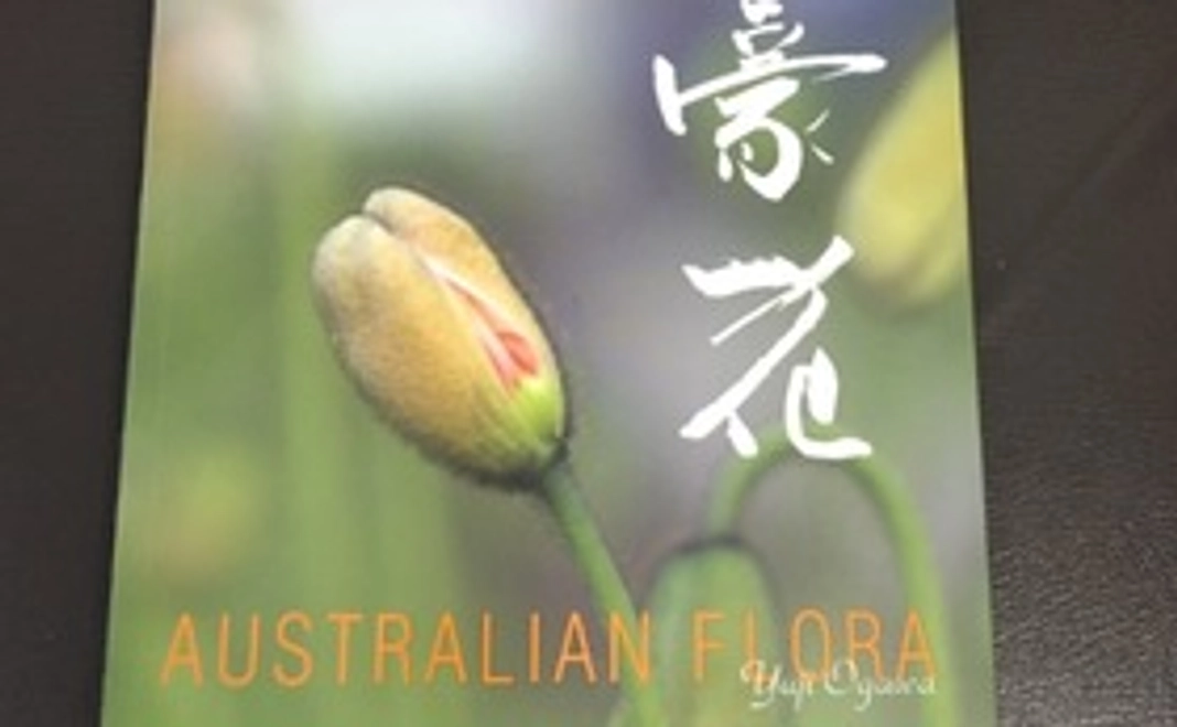 小川裕司の写真集「豪花」と御礼のメール