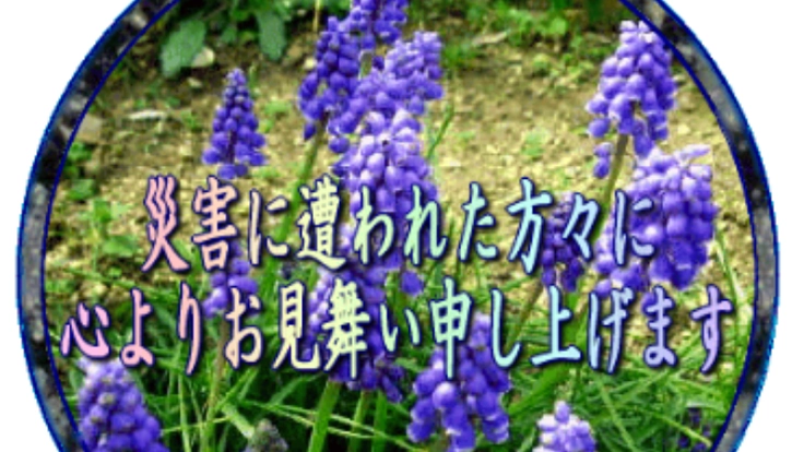 うつぶせで寝るだけで体がリラックスする整体クッション