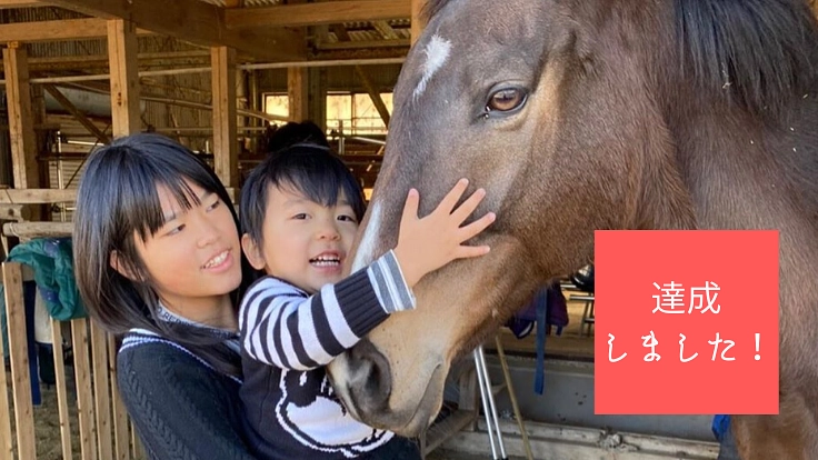 引退馬が、子どもたちの居場所になる あんらいえんホースの挑戦