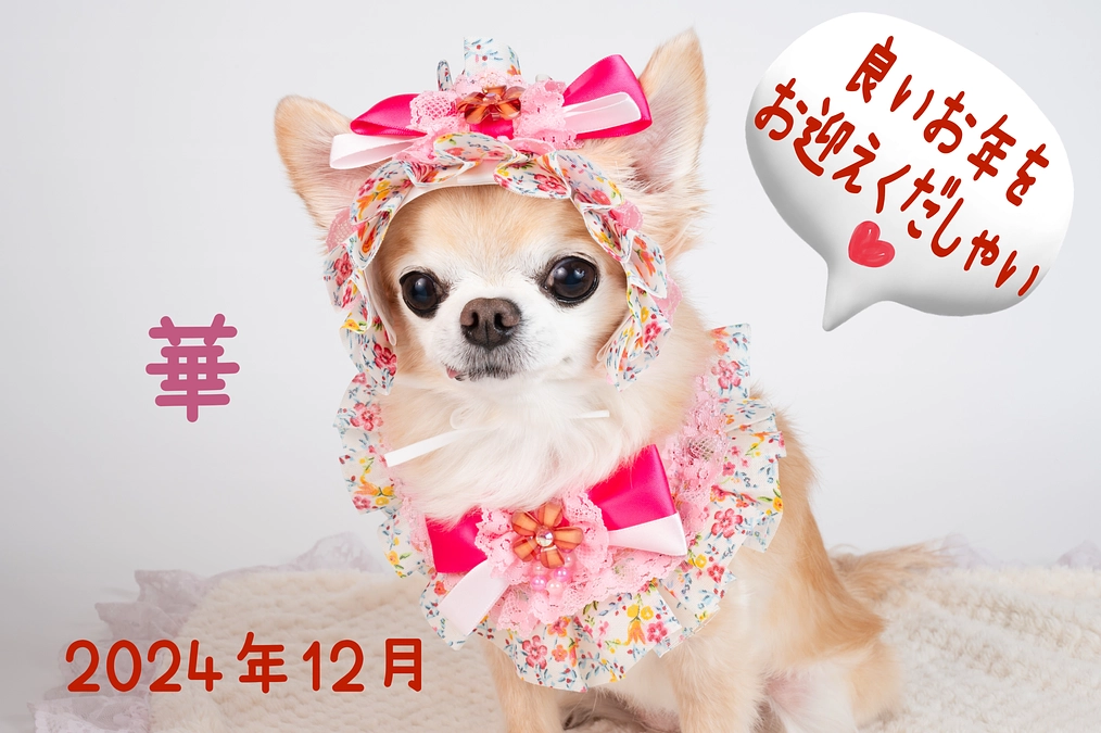 2024年も ありがとうございました