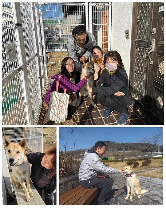 リフォームの進捗と活動報告＆継続寄付募集のお願い