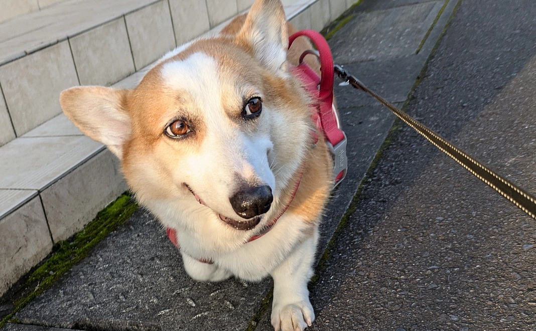 めるへのご支援1