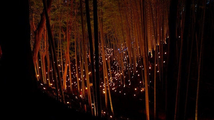 栃木県で北関東最大級の竹あかりイベント開催し那須町をPRしたい