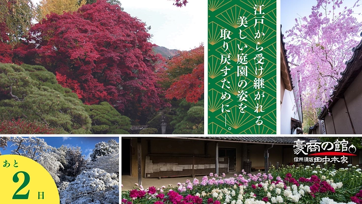 田中本家博物館｜倒木の危機。事故を防ぎ、日本庭園再生にご支援を！