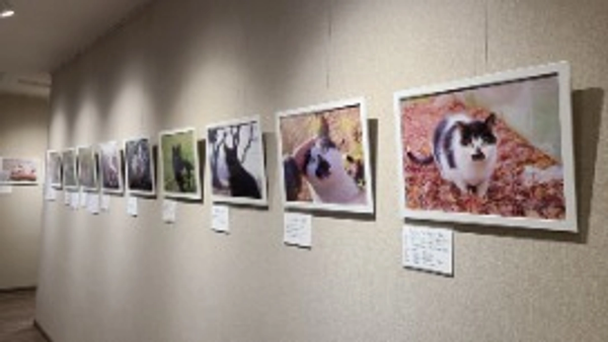 クラウドファンディング終了しました。