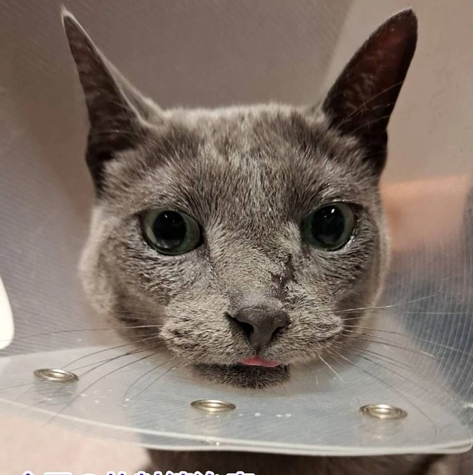 本日も放射線治療をしてきました。