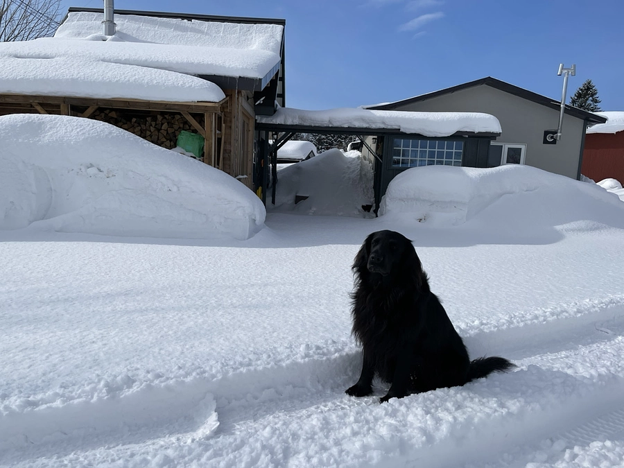 いよいよバケツの設置日が近づくなか・・・・