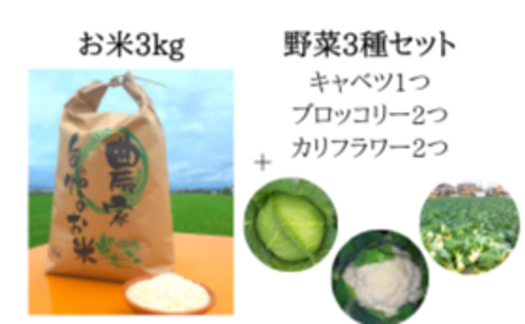 お米3kg+野菜3種セット