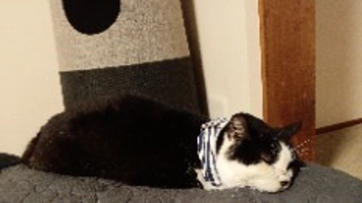 10/1腫瘍外来でした。