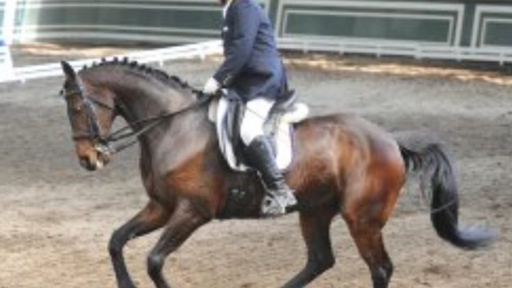 義足の馬術選手の挑戦。パラリンピック出場を左右する大会出場へ