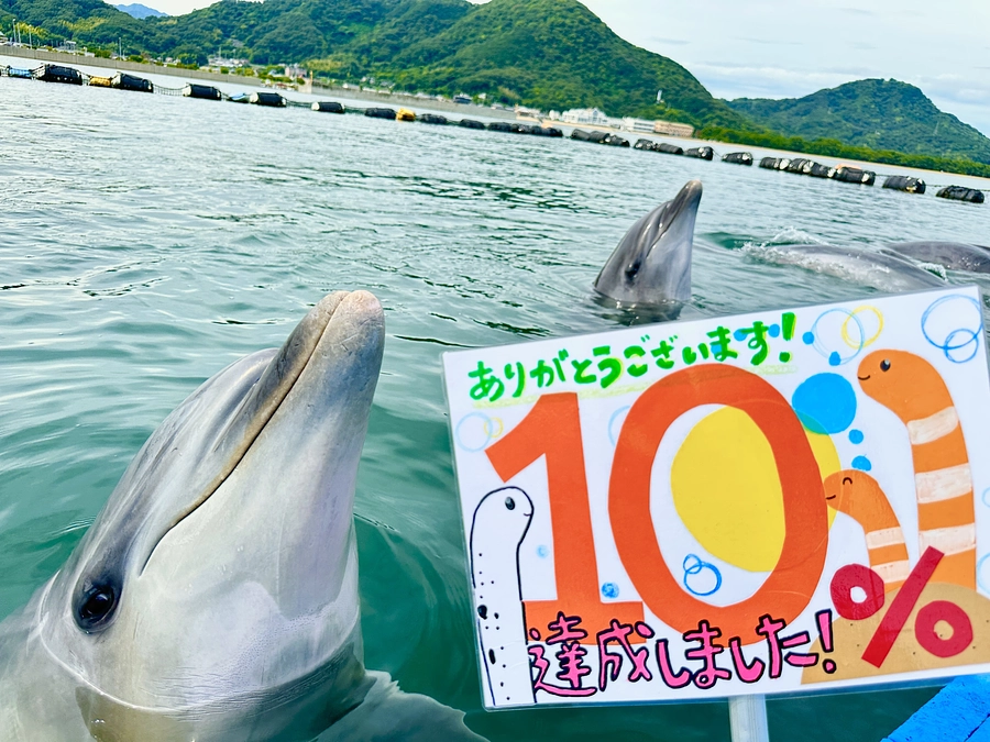 目標金額の10％突破しました！！