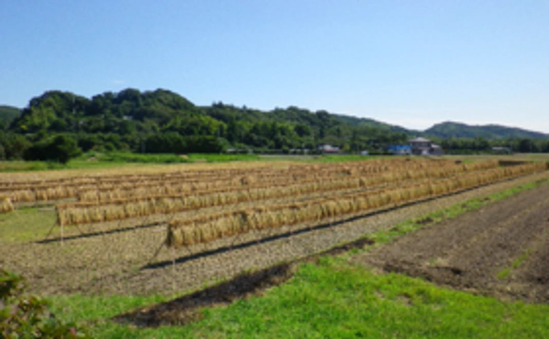 やぎ農園応援ライトコース