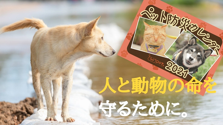 災害時、ペットとあなたの命を守る「ペット防災カレンダー」を全国へ！