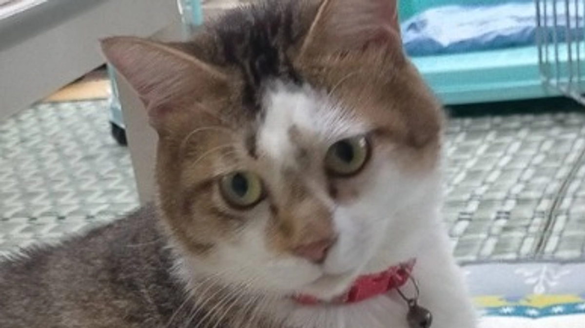 皆さま、ありがとうございます！