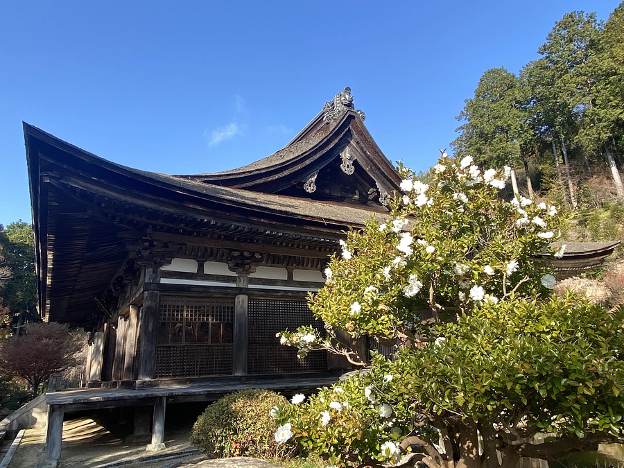 クラウドファンディング　終了まであと１０日