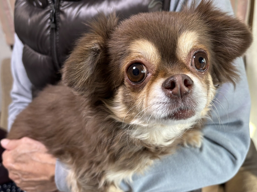 皆様のご支援が本当に嬉しいです！