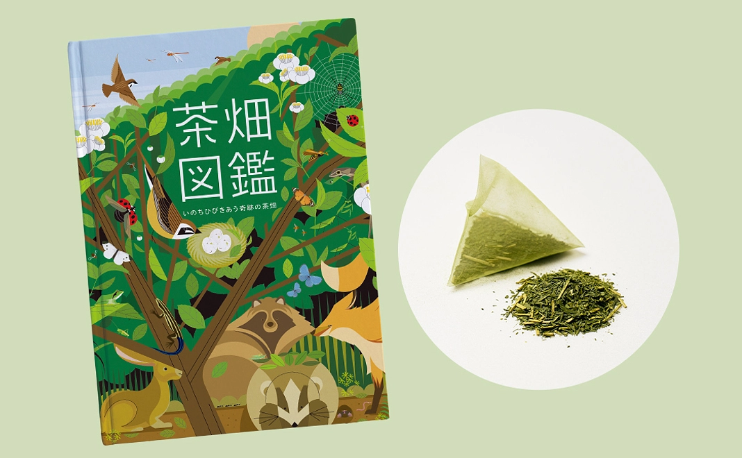 茶畑図鑑とお茶セット
