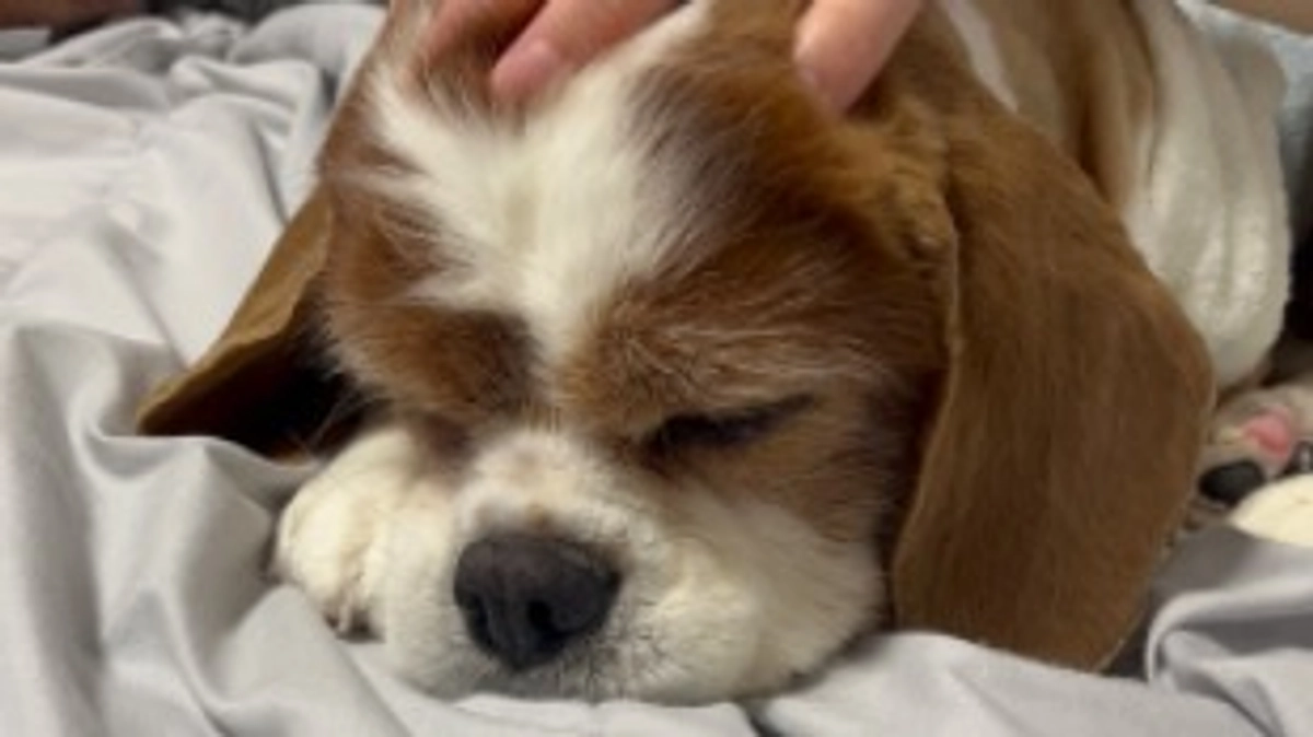 術後8日目です。退院延期になりました…