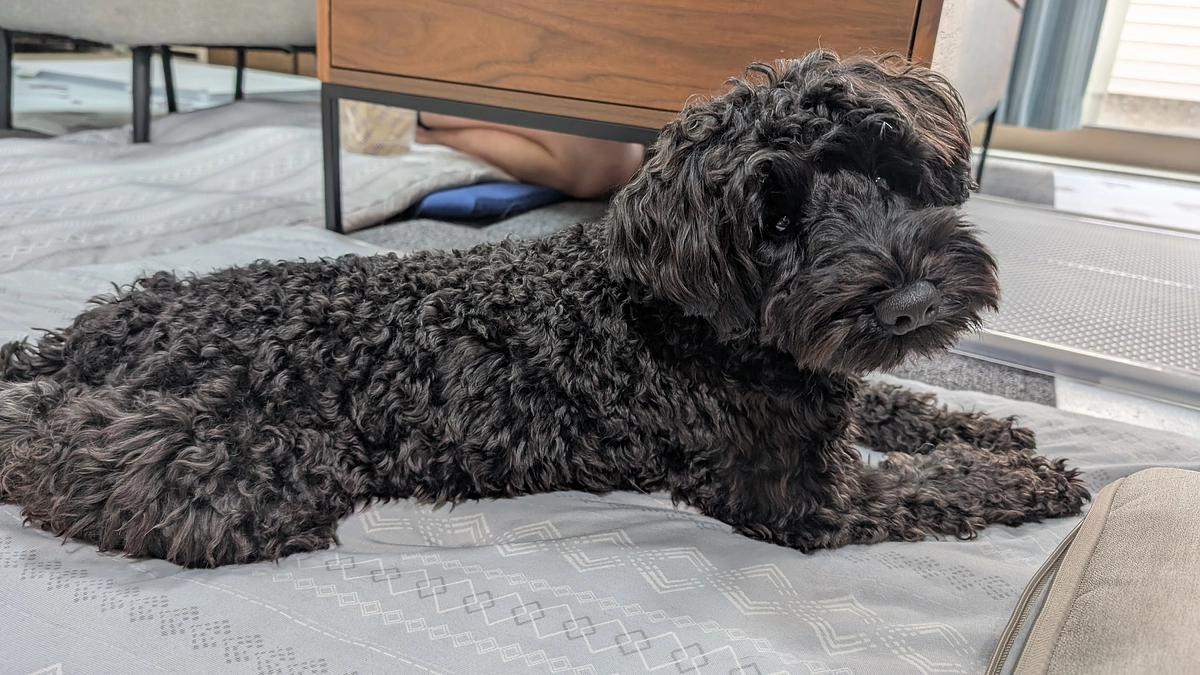 CT検査の結果と今後の見通し