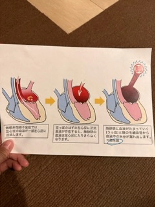 ららの病状ついて