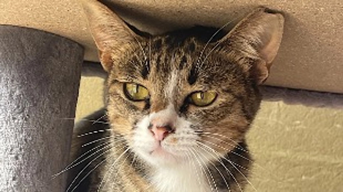 ちびちゃんの様子