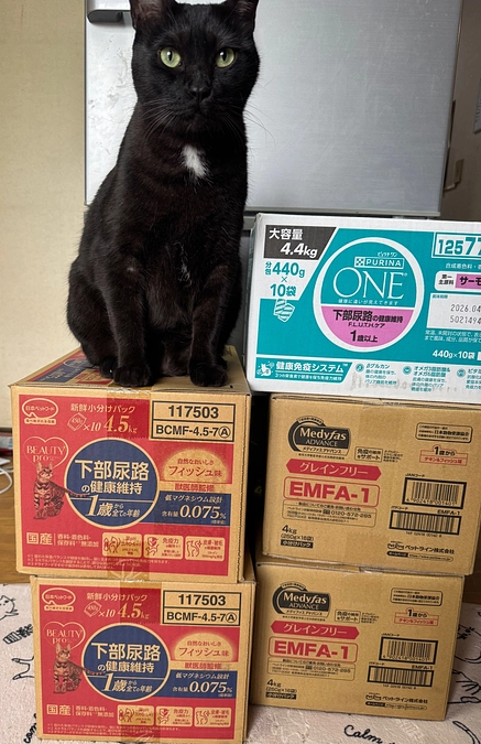 頂いた物資の紹介9  残り❺日