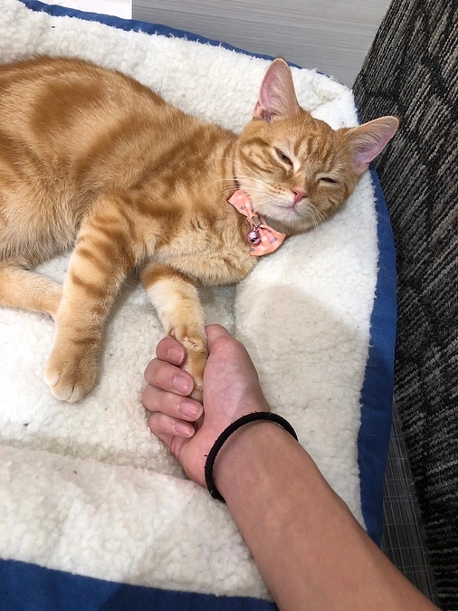 メンバーブログリレー15.