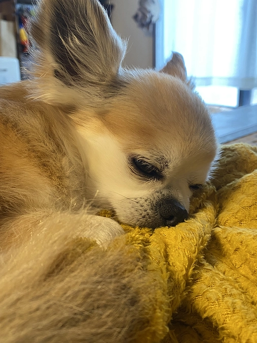 6ヶ月検診に行ってきました🚗³₃