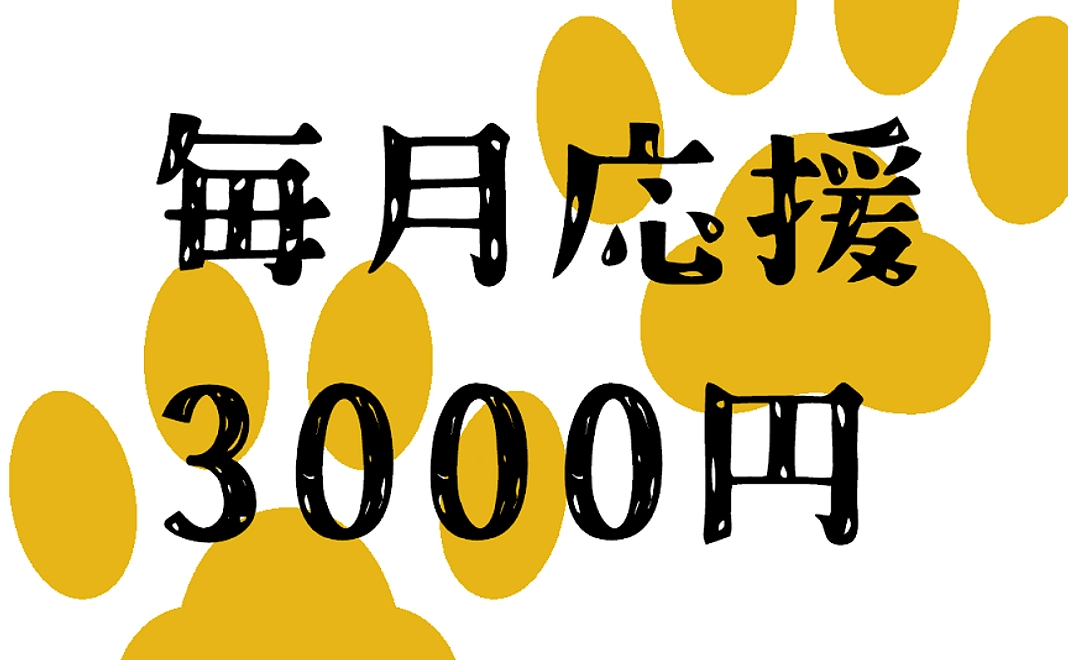 毎月3000円コース