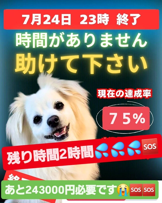 【残り２時間】達成率７５％💦