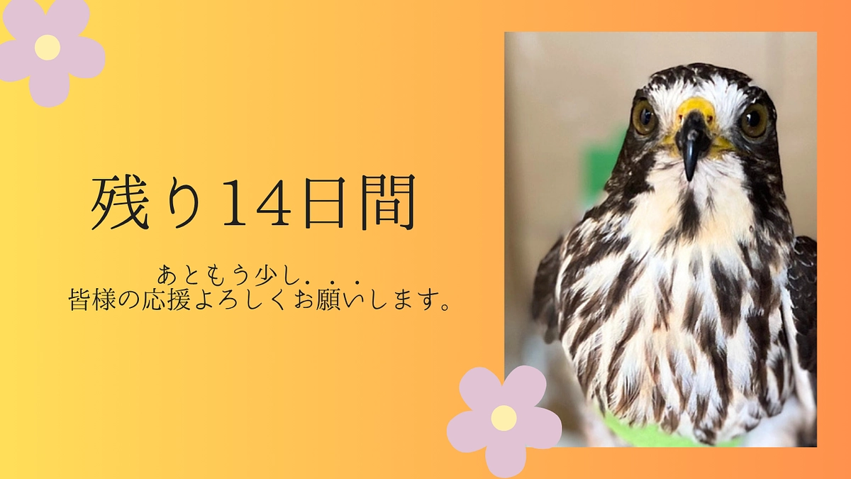 【クラウドファンディング終了まで残り2週間！ラストスパートへ！】