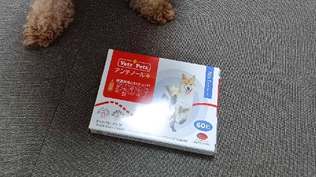 アンチノール買いました！