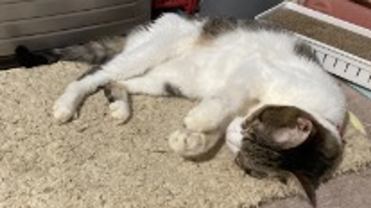 ◆代理支援(直接支援)について◆