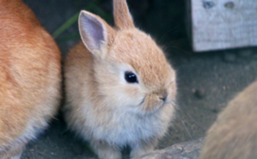 【5千円】豪華なリターンは不要な方向け・応援コース