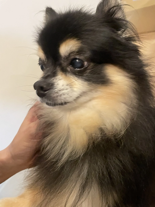 インスタ開設&肺水腫再発