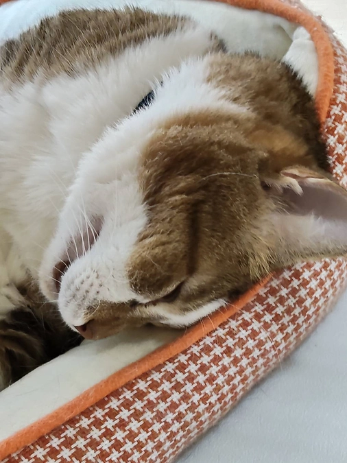 頂いた支援金について