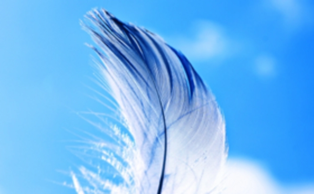 サンクスメールの送付