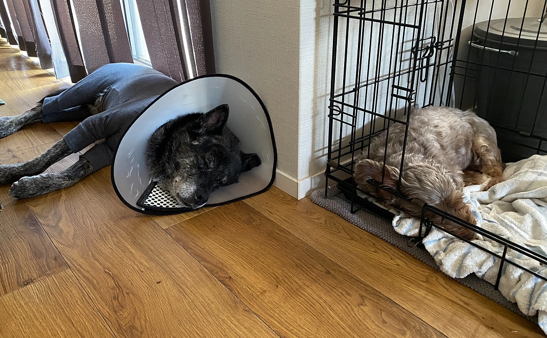 もみへのご支援ありがとうございます。2