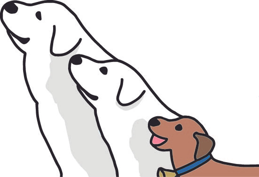 カフェオープンについて