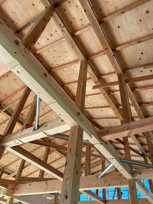 シン・猫の森ハウス進捗情報＆活動報告